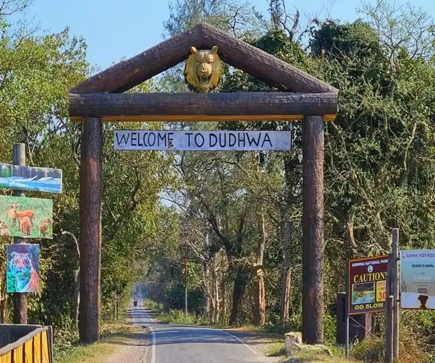 Dudhwa Safari Booking