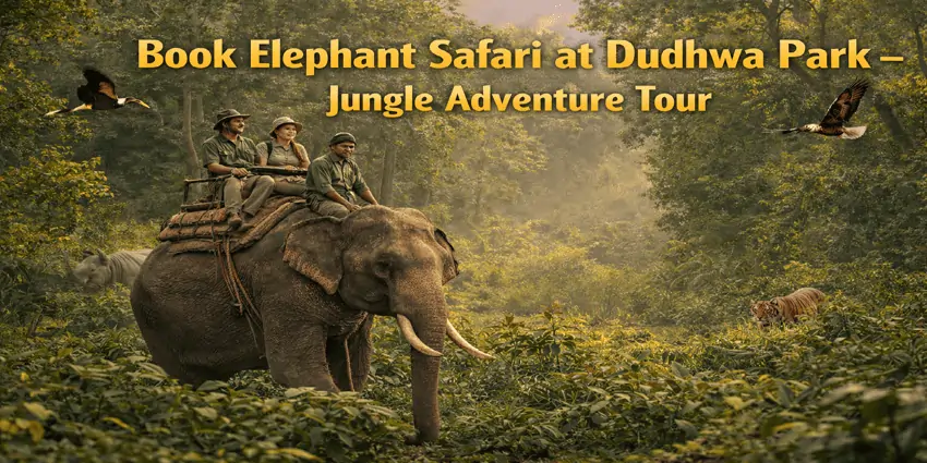 Elephant Safari at Dudhwa Park